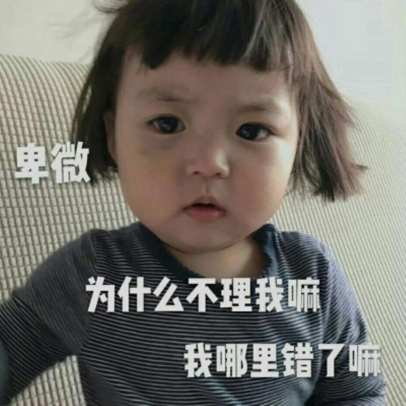沈阳结伴游玩助理楼雨莲
