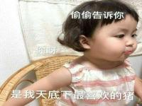 永安同城陪游陪玩旅行网红板晨