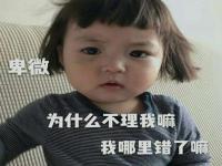 沈阳结伴游玩助理楼雨莲